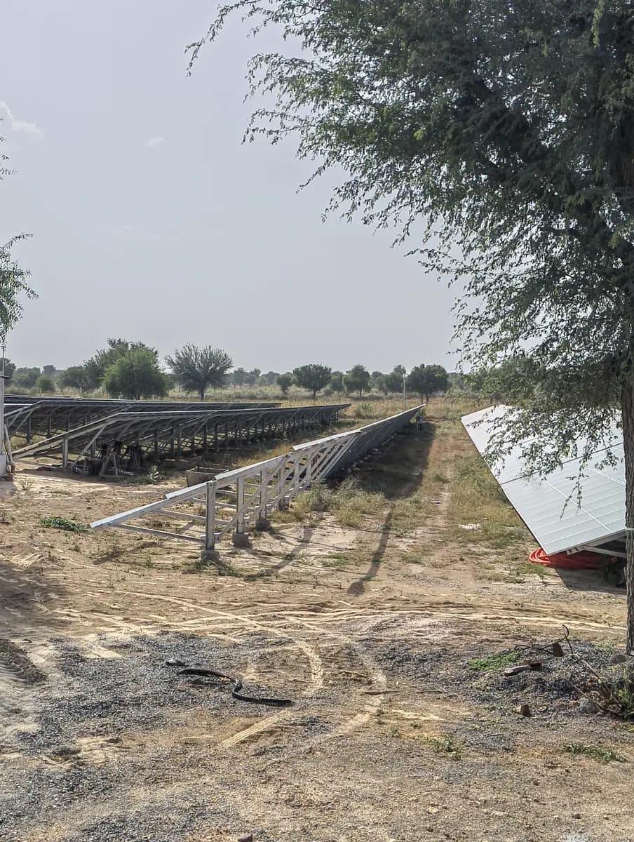 Mounting structures and a solar module at the edge of the plant, with a tree in the foreground