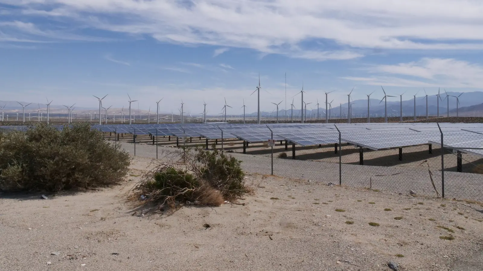 Solar module rows in a desert landscape with a line of wind turbines on the horizon